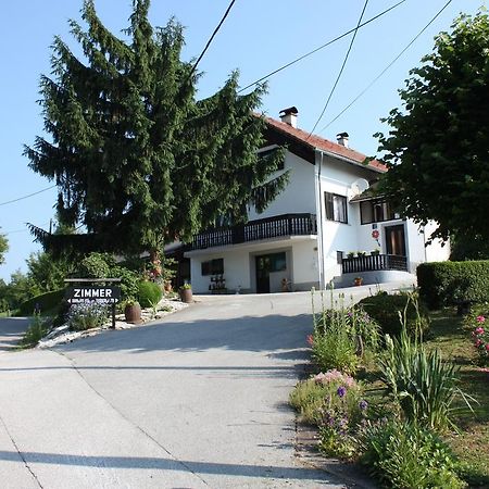 Apartment Jelena Seliste Dreznicko Rum bild