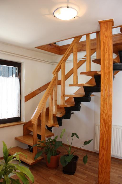 Apartment Jelena Seliste Dreznicko Rum bild