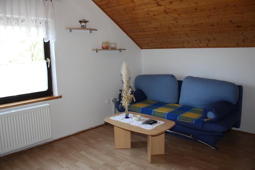 Apartment Jelena Seliste Dreznicko Rum bild