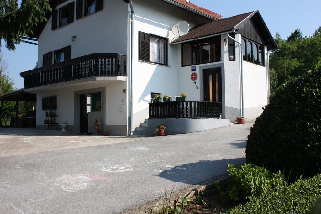 Apartment Jelena Seliste Dreznicko Rum bild