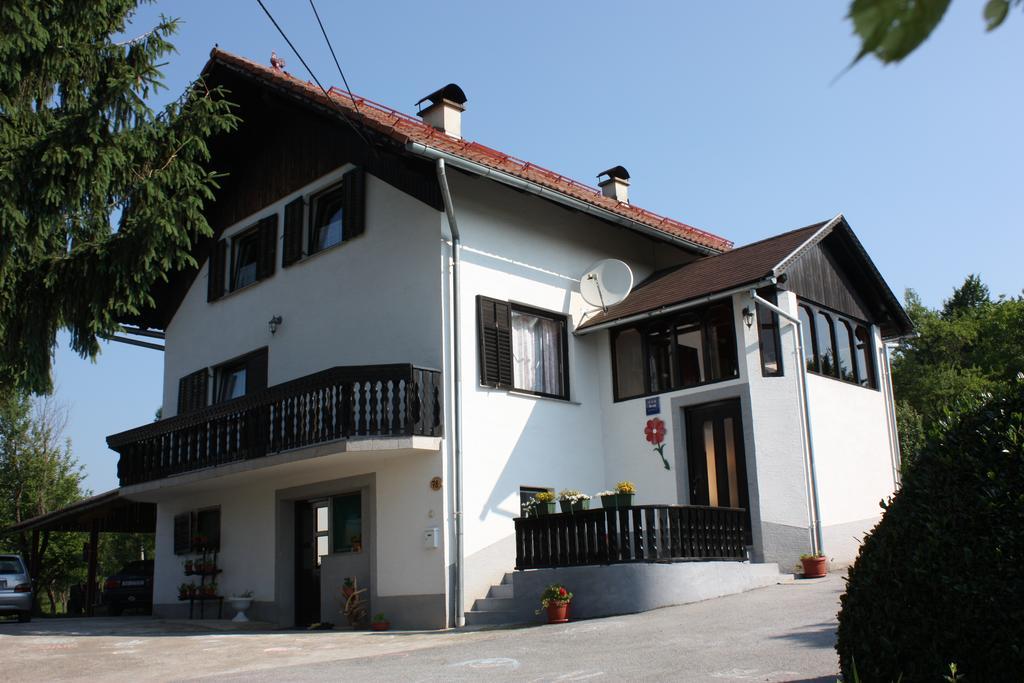Apartment Jelena Seliste Dreznicko Rum bild