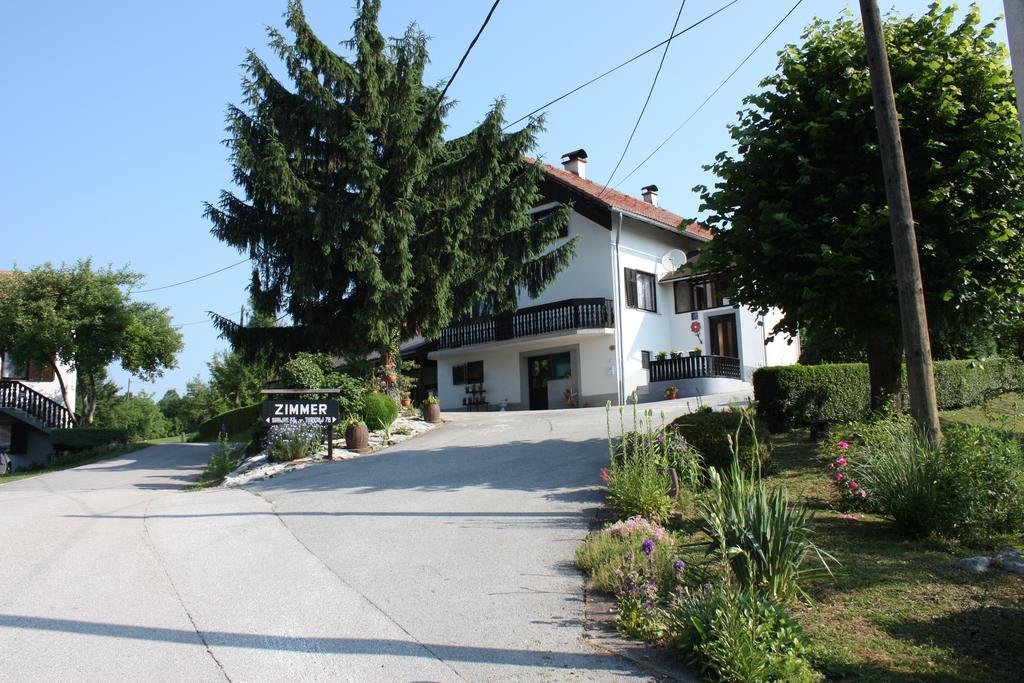 Apartment Jelena Seliste Dreznicko Rum bild
