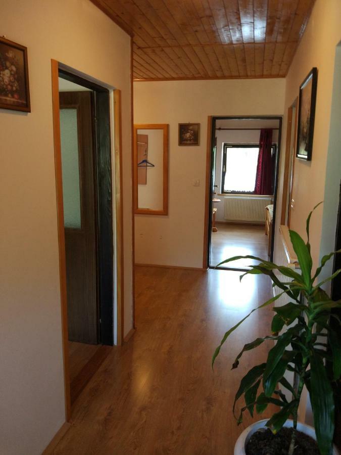 Apartment Jelena Seliste Dreznicko Exteriör bild