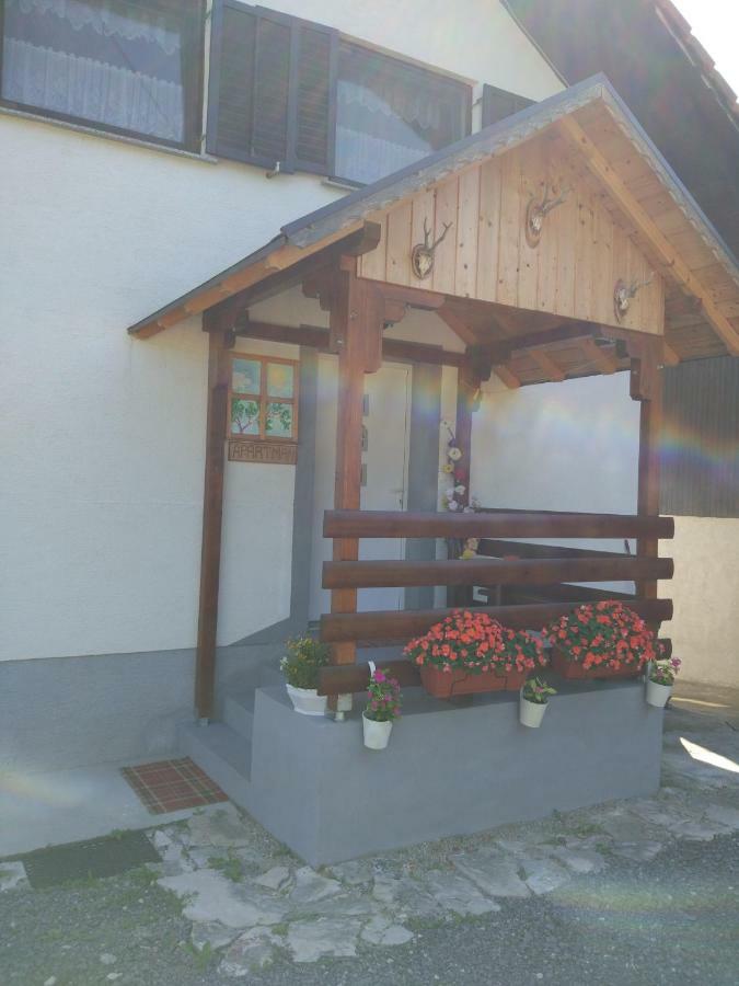 Apartment Jelena Seliste Dreznicko Exteriör bild